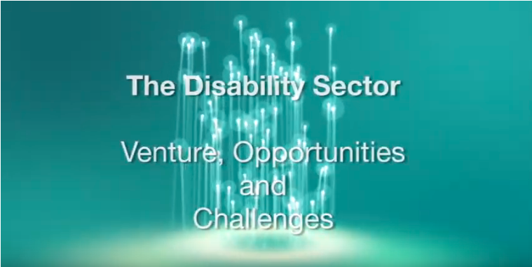 The Disability Sector